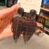 Linglang Dainty Sparkling Earrings Long Tassel Earrings Chic Dangle Earrings